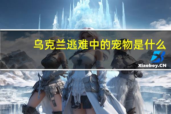 乌克兰逃难中的宠物是什么