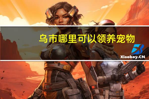 乌市哪里可以领养宠物