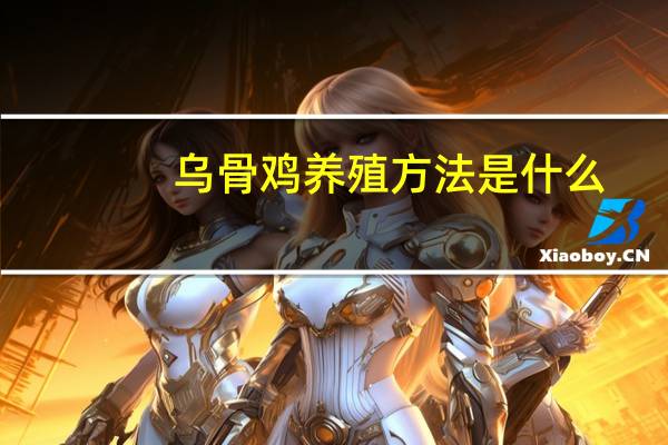 乌骨鸡养殖方法是什么