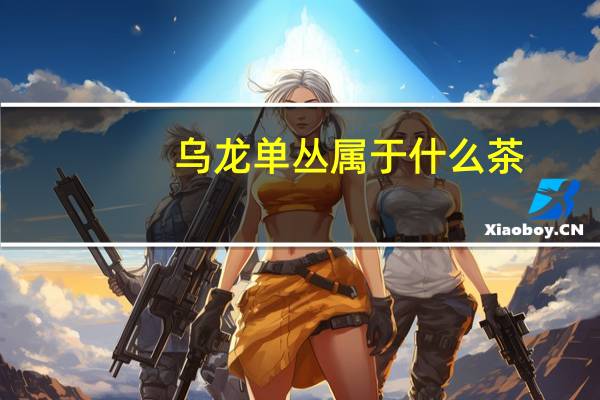 乌龙单丛属于什么茶