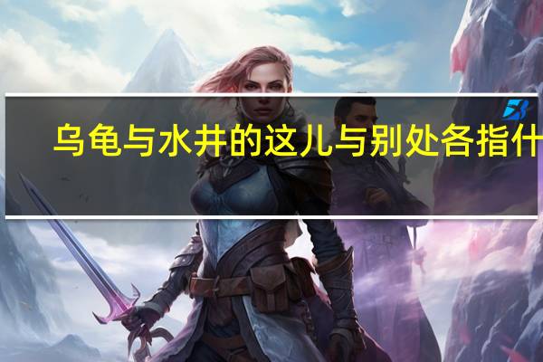 乌龟与水井的这儿与别处各指什么
