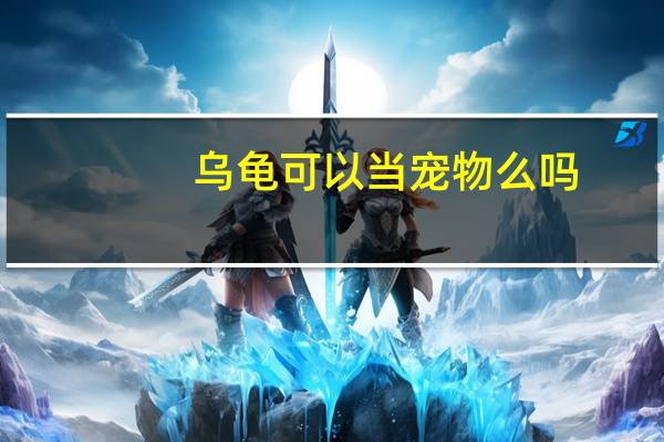 乌龟可以当宠物么吗