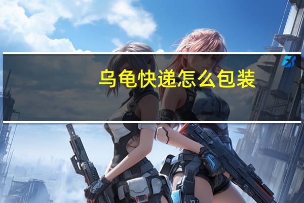 乌龟快递怎么包装