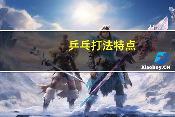 乒乓打法特点