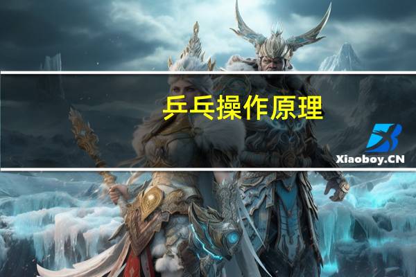 乒乓操作原理