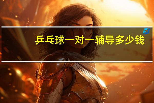 乒乓球一对一辅导多少钱