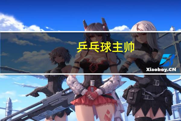 乒乓球主帅