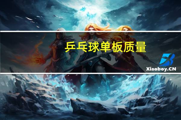 乒乓球单板质量