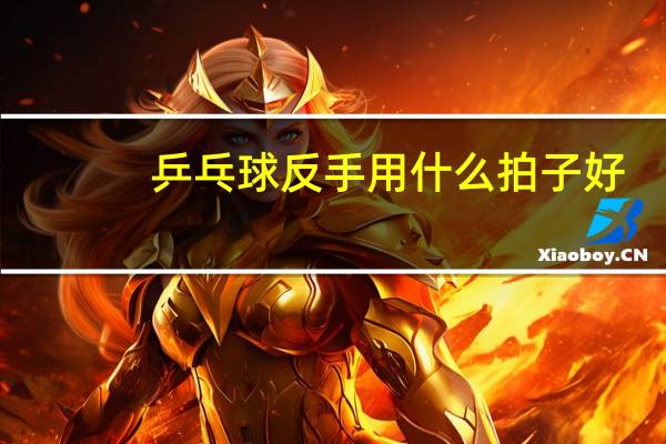 乒乓球反手用什么拍子好