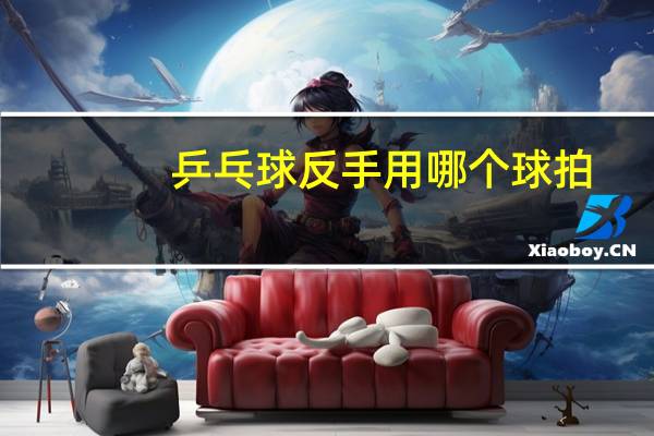 乒乓球反手用哪个球拍