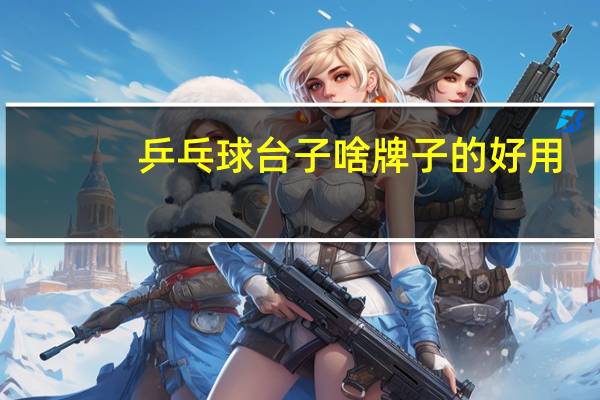 乒乓球台子啥牌子的好用