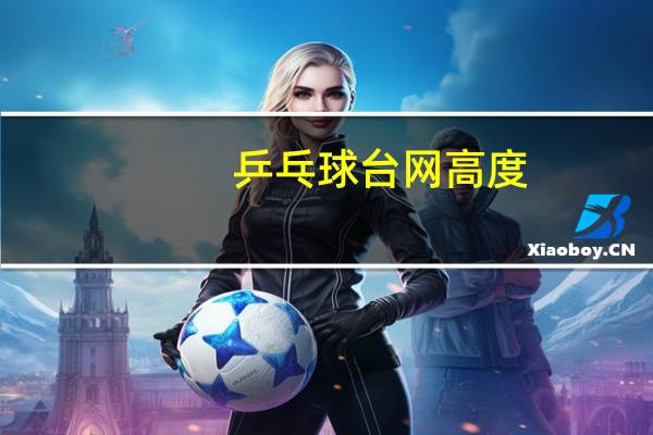 乒乓球台网高度