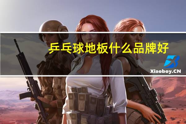 乒乓球地板什么品牌好