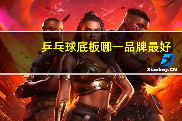 乒乓球底板哪一品牌最好