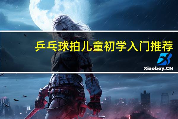 乒乓球拍儿童初学入门推荐