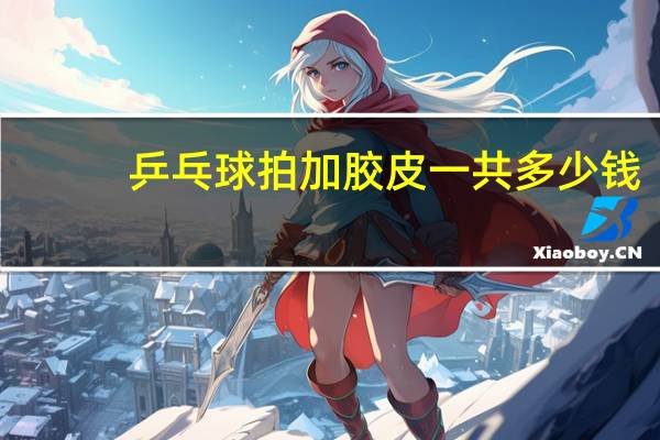 乒乓球拍加胶皮一共多少钱