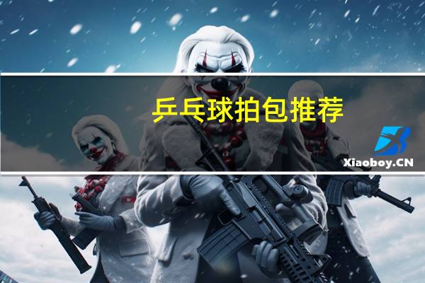 乒乓球拍包推荐