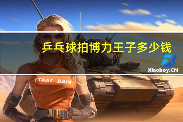 乒乓球拍博力王子多少钱
