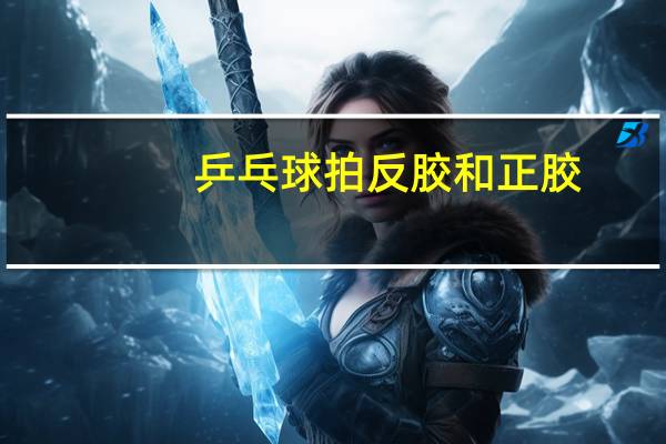 乒乓球拍反胶和正胶
