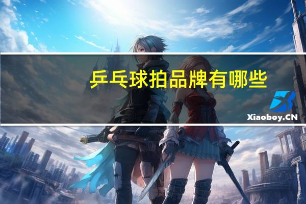 乒乓球拍品牌有哪些