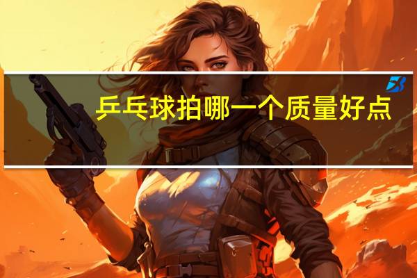 乒乓球拍哪一个质量好点