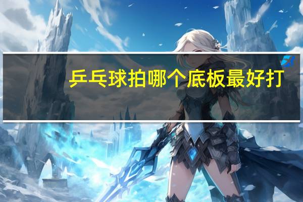 乒乓球拍哪个底板最好打