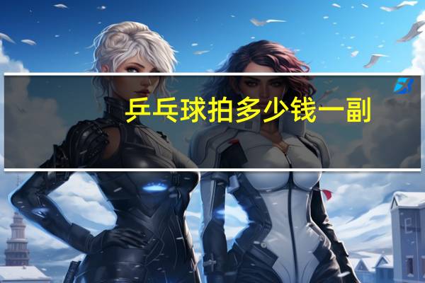 乒乓球拍多少钱一副