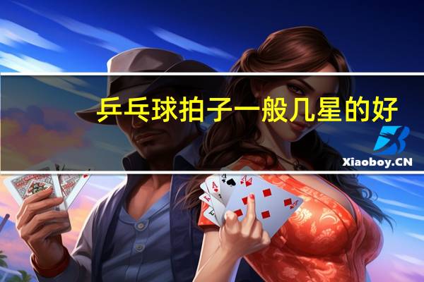 乒乓球拍子一般几星的好