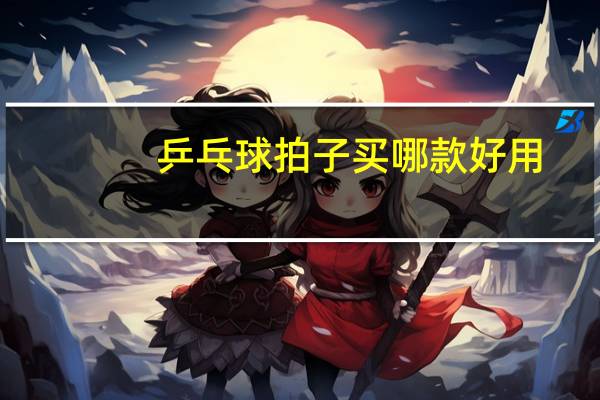 乒乓球拍子买哪款好用