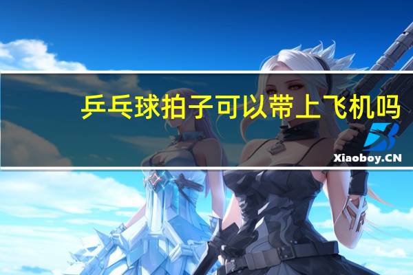 乒乓球拍子可以带上飞机吗
