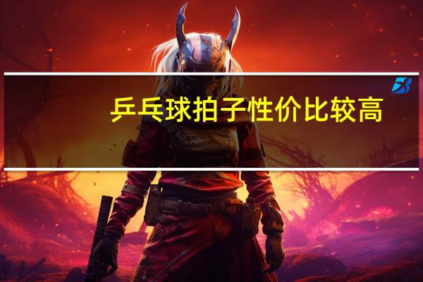 乒乓球拍子性价比较高