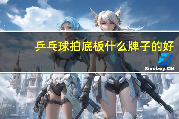 乒乓球拍底板什么牌子的好