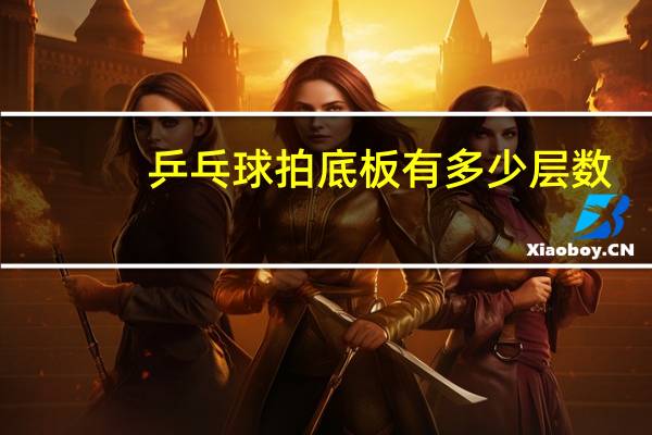 乒乓球拍底板有多少层数