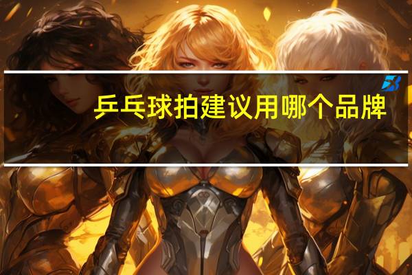 乒乓球拍建议用哪个品牌