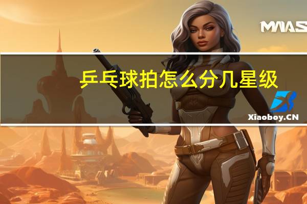 乒乓球拍怎么分几星级