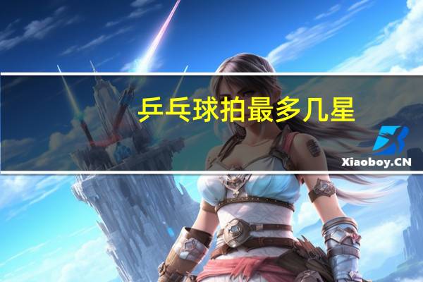 乒乓球拍最多几星
