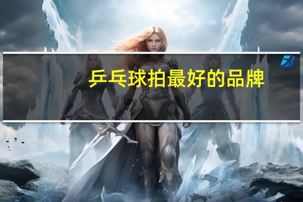 乒乓球拍最好的品牌