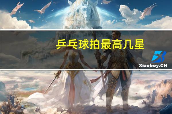 乒乓球拍最高几星