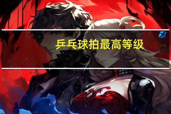 乒乓球拍最高等级