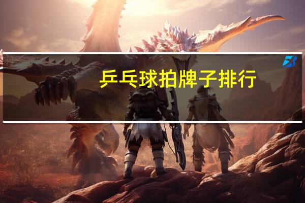 乒乓球拍牌子排行