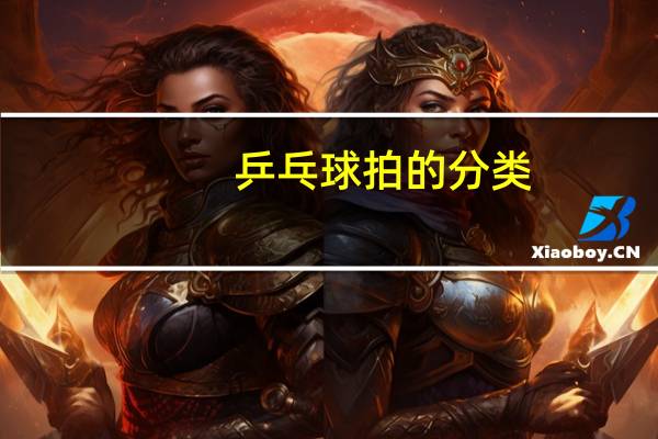 乒乓球拍的分类