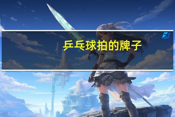 乒乓球拍的牌子