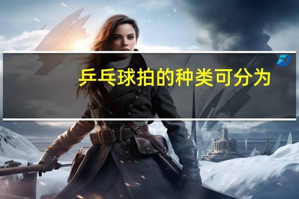 乒乓球拍的种类可分为