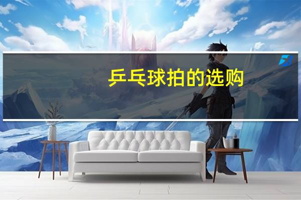 乒乓球拍的选购