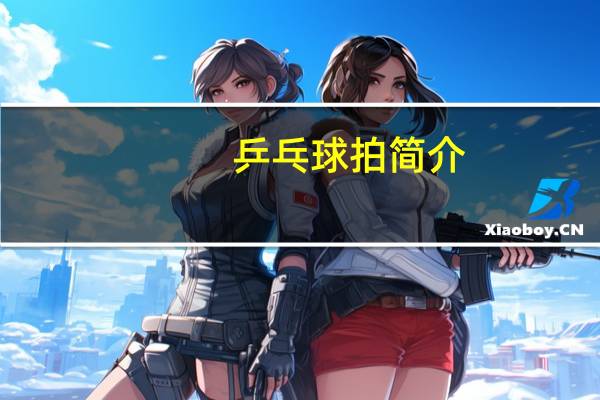 乒乓球拍简介