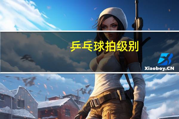 乒乓球拍级别