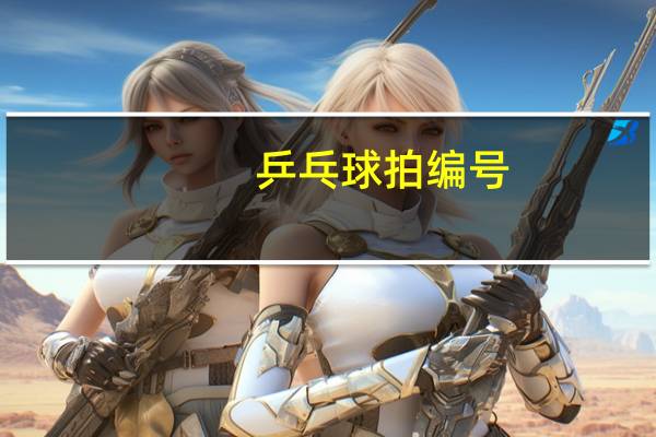 乒乓球拍编号