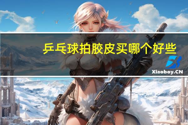 乒乓球拍胶皮买哪个好些