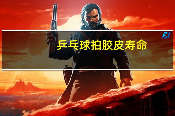 乒乓球拍胶皮寿命