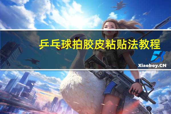 乒乓球拍胶皮粘贴法教程